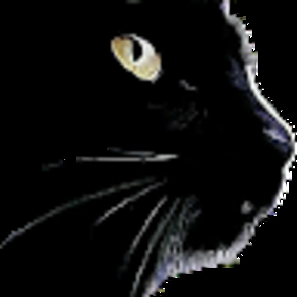 Meet your Posher, Adam - Picture 1 of 1